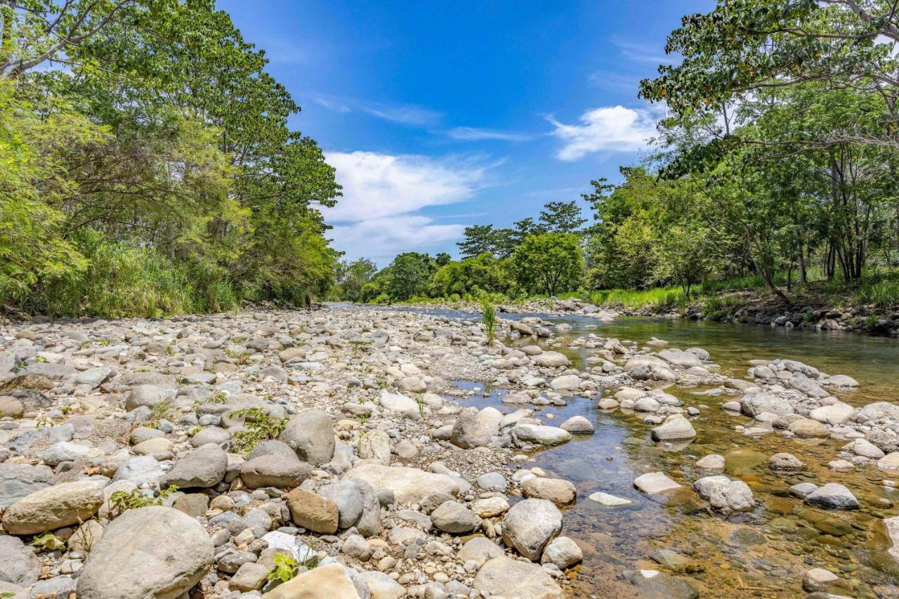 Uvita River Guesthouse Ngoại thất bức ảnh