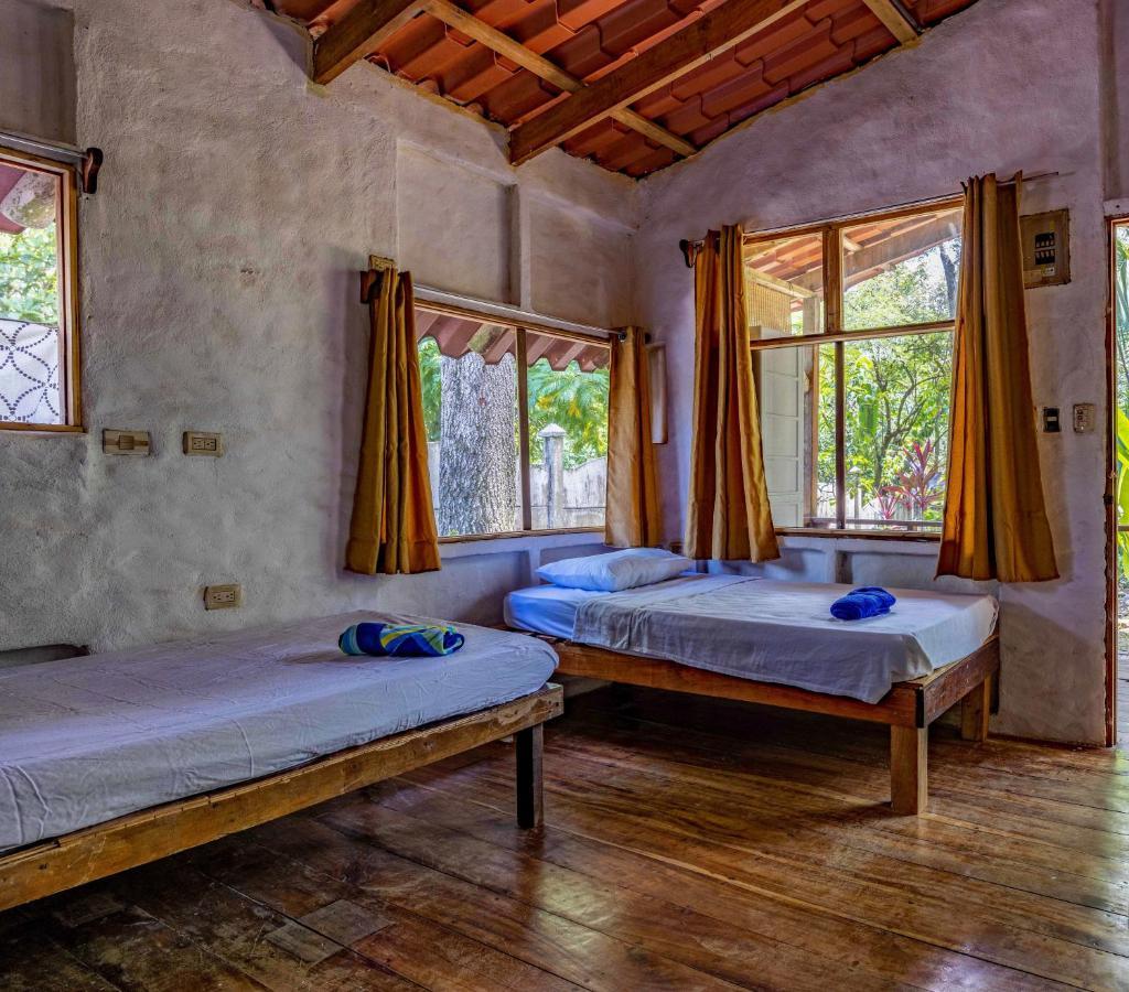 Uvita River Guesthouse Ngoại thất bức ảnh